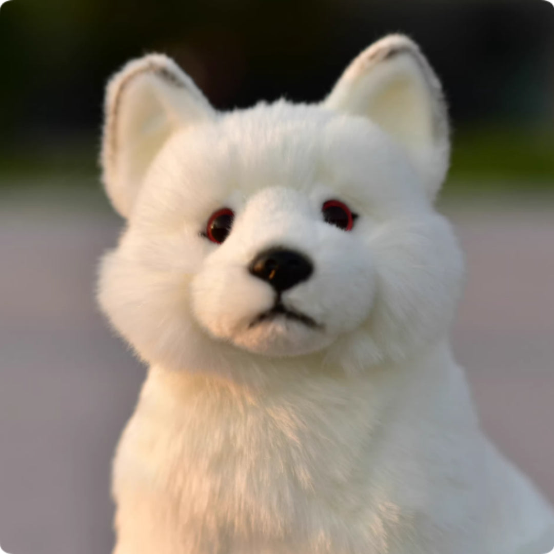 Plush Toys, Animal Dolls, And Plush Toys